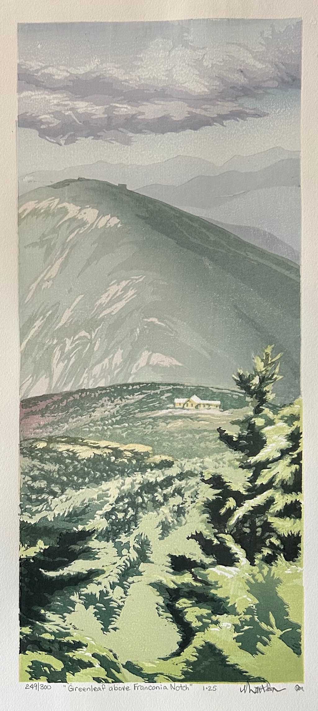 Greenleaf Above Franconia Ridge