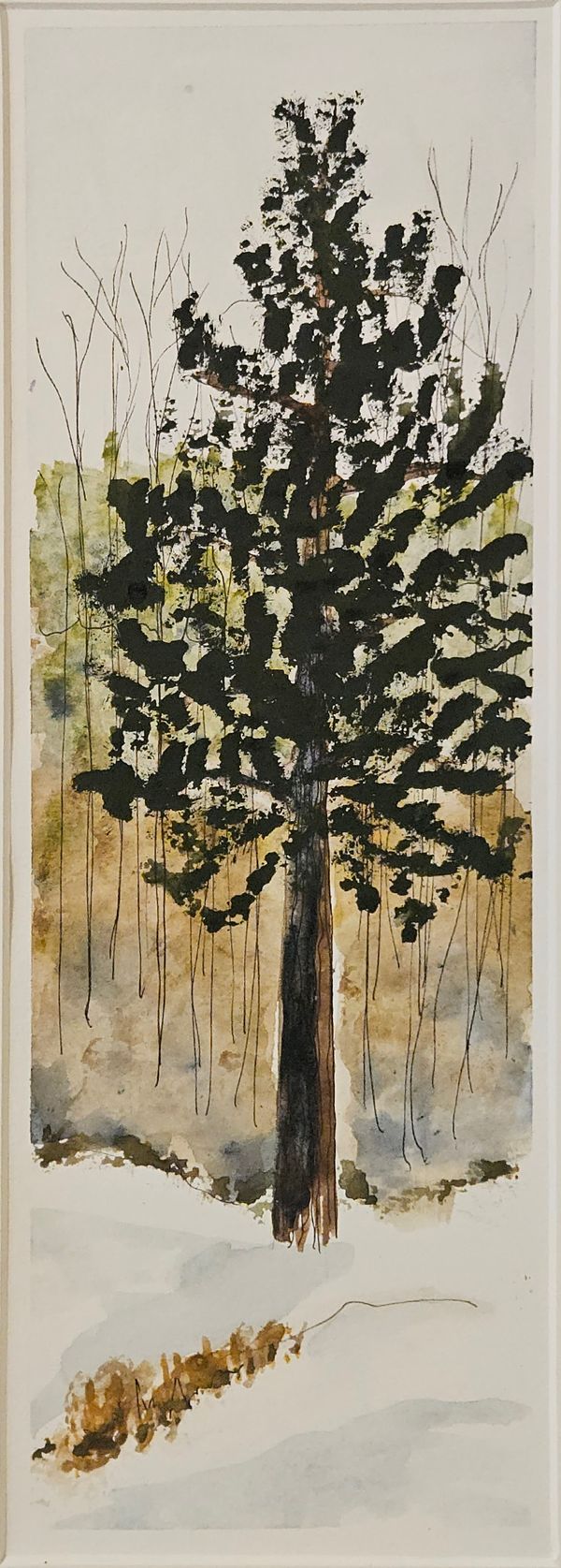 Big Pine - Lynn Adams