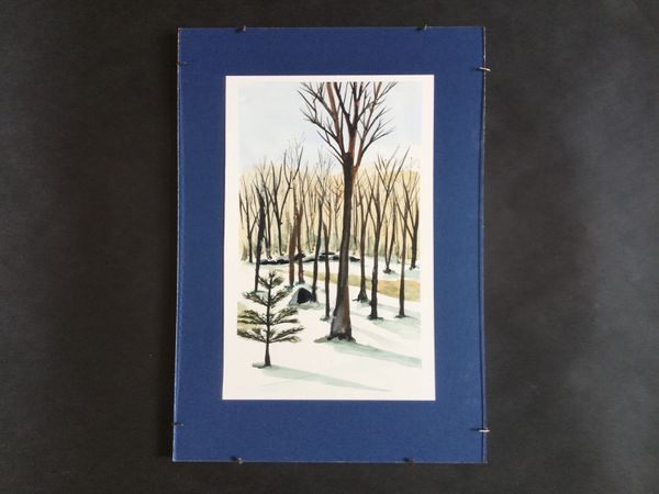 Winter Shadows