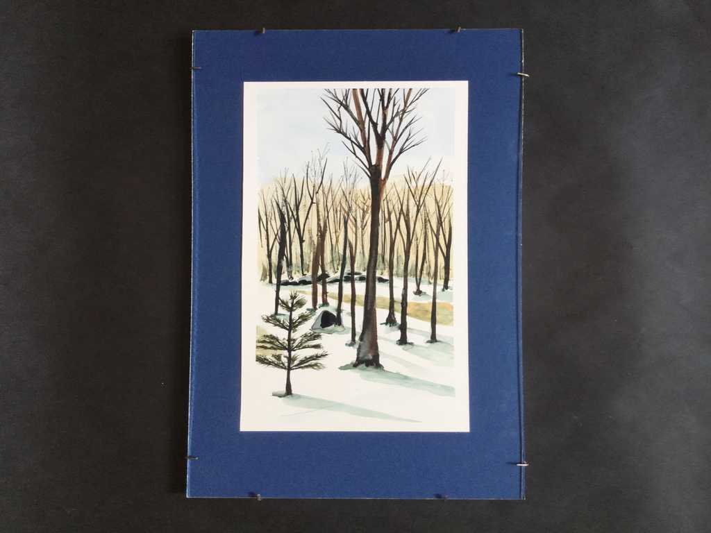 Winter Shadows