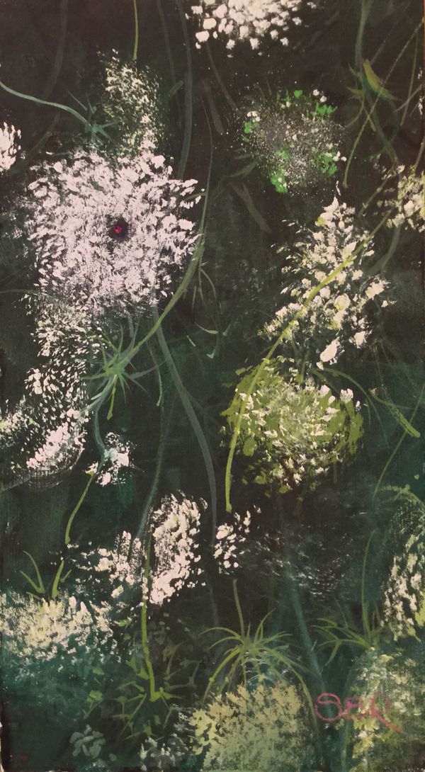 Queen Anne's Lace