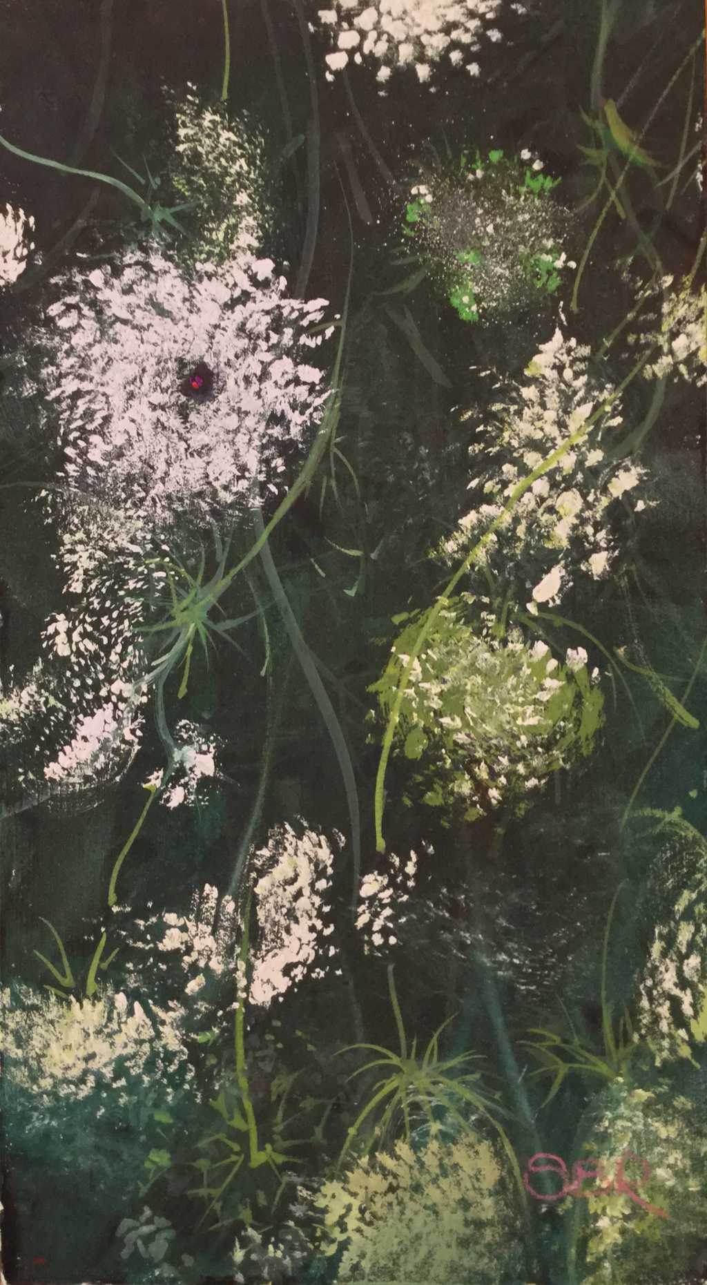Queen Anne's Lace