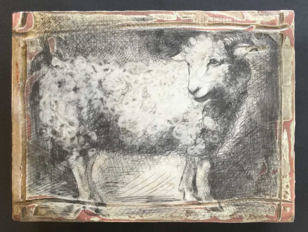 Little White Horned Sheep
