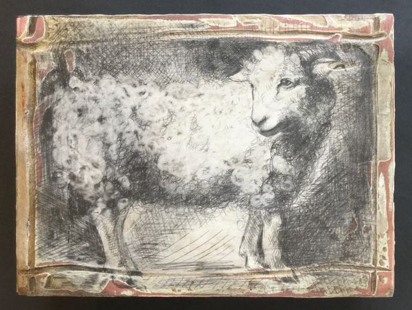Little White Horned Sheep
