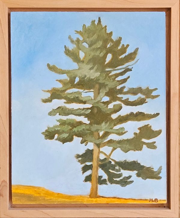 Bully Pine - Jennifer Brown