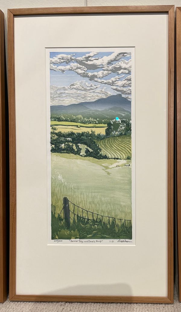 Summer Day and Camel's Hump