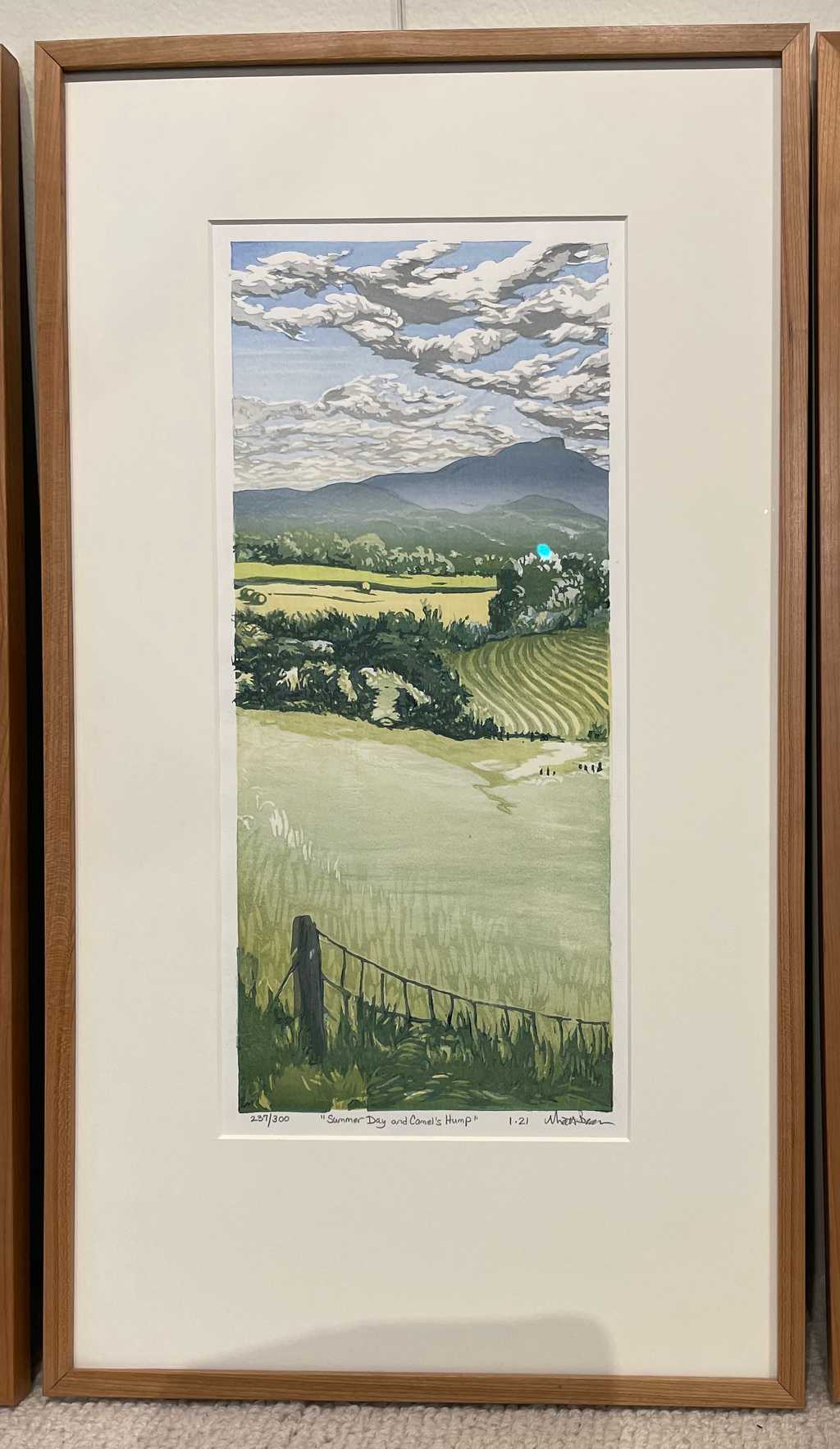 Summer Day and Camel's Hump