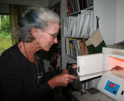 Lynn Adams