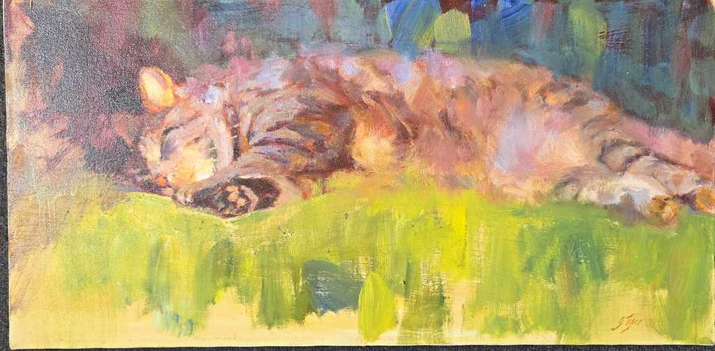 Sleeping Cat