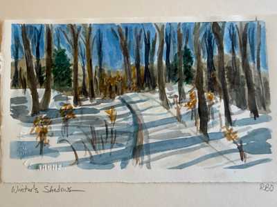 Winter's Shadows by Robin Osborne