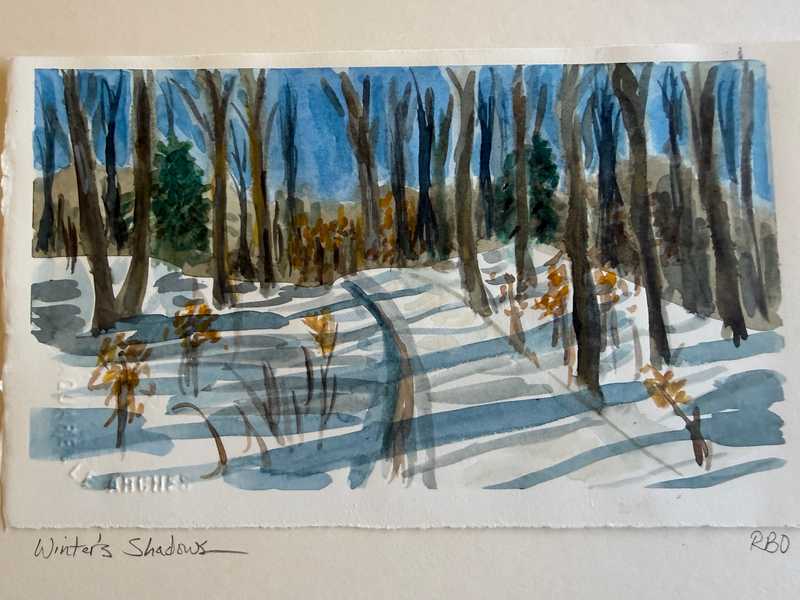 Winter's Shadows by Robin Osborne