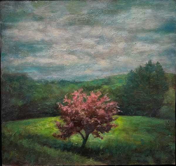 Spring Crabapple