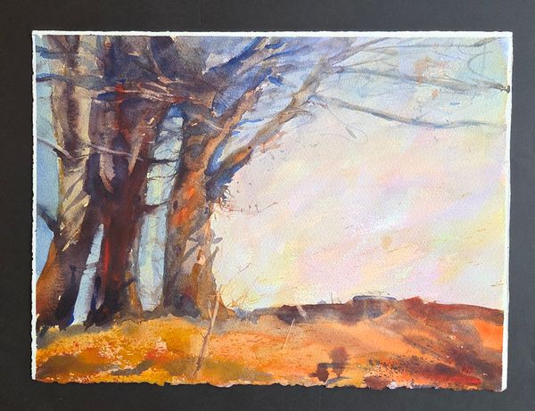 Old Tree