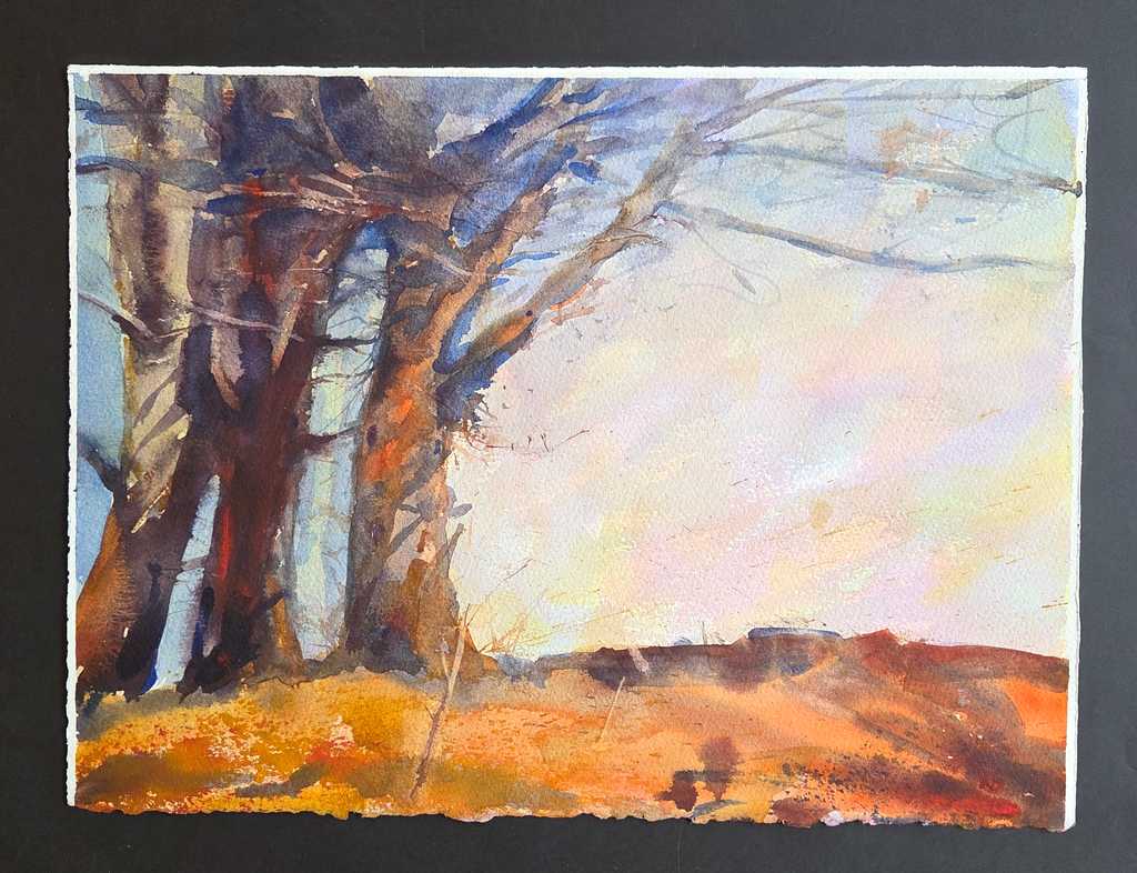 Old Tree