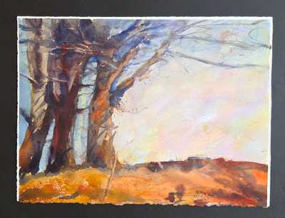 Old Tree