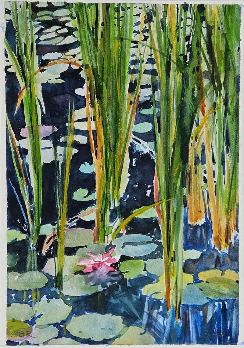 Pond by Stephanie Reininger