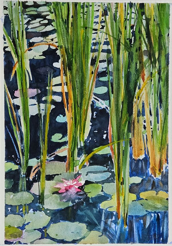 Pond by Stephanie Reininger