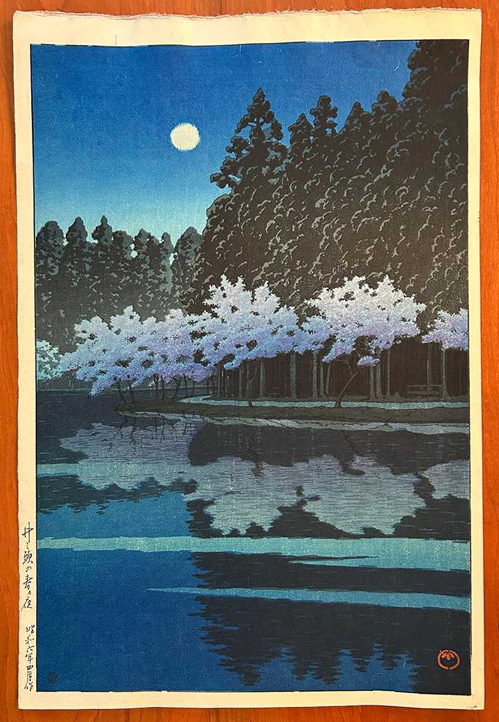 Spring Night at Inokashira Park