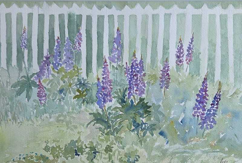 Lupines Galore, Ardis Olson