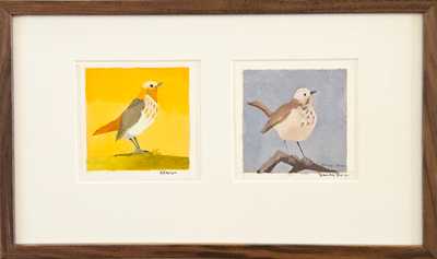 Hermit Thrush and The Hermit Thrush's Neighbor