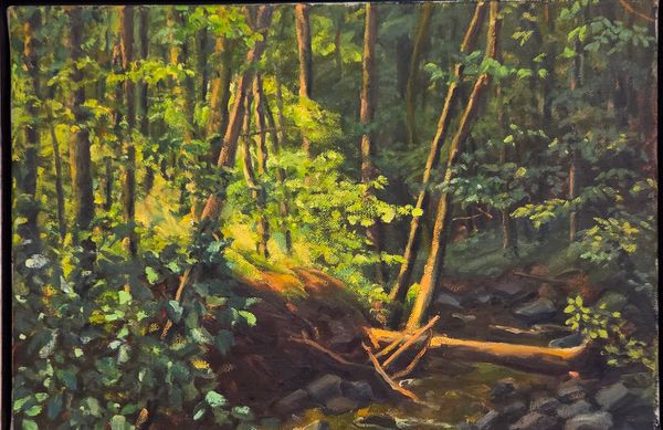 First Summer Streambed