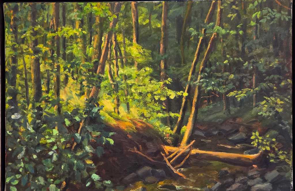 First Summer Streambed