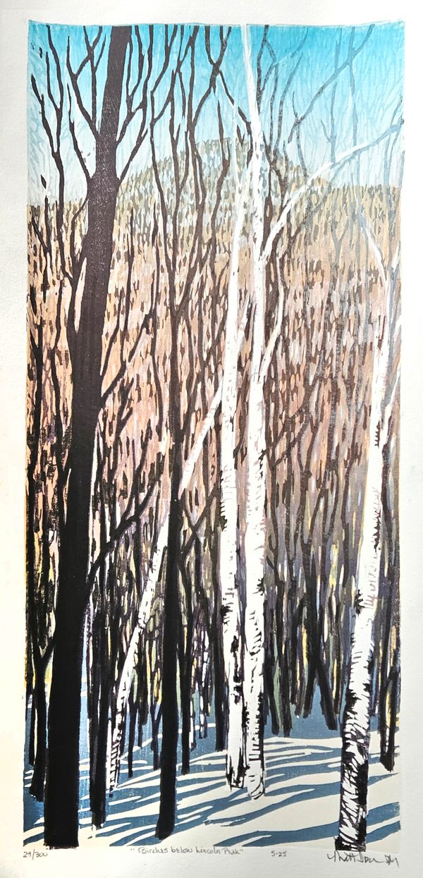 Birches Below Lincoln Peak