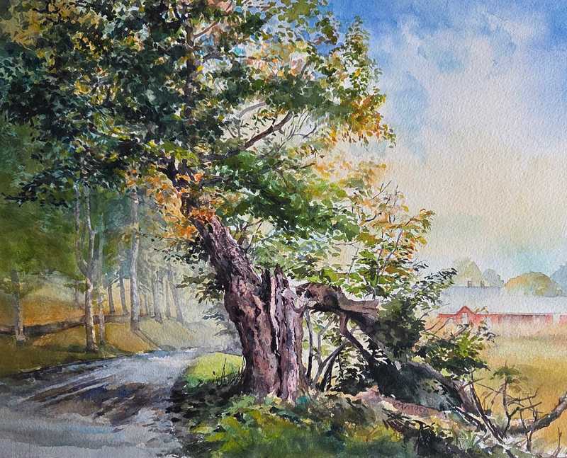 Jericho, One Misty Morning by Michele Moen