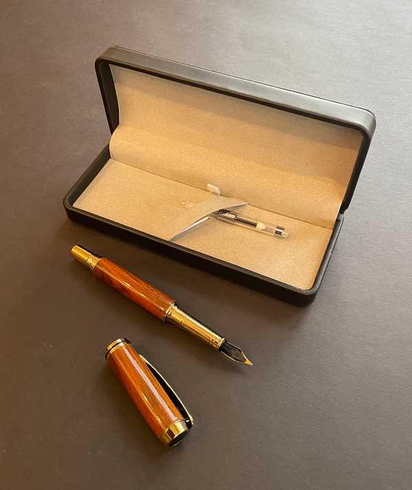 Apricot Fountain Pen