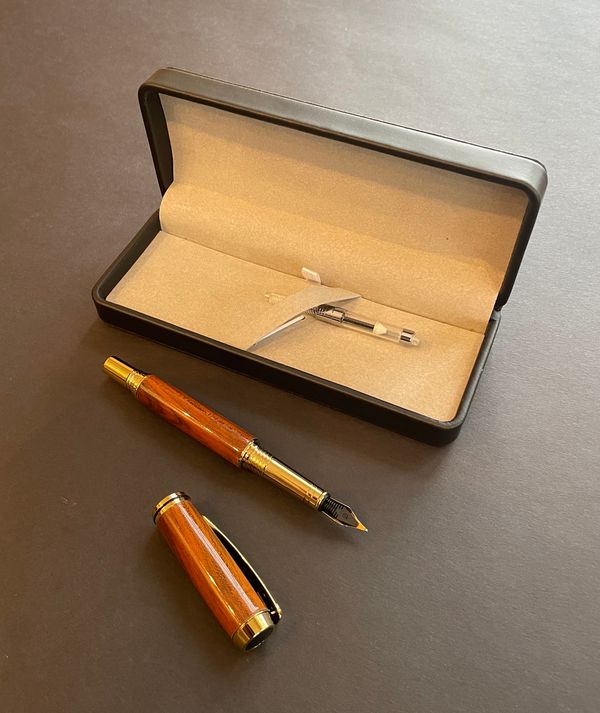 Apricot Fountain Pen