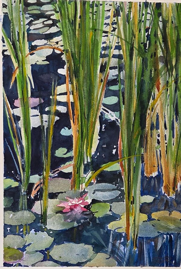 Water Lily by Stephanie Reininger