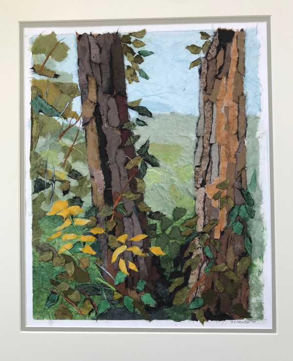 Along the Connecticut River