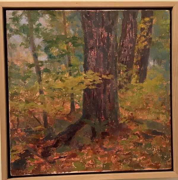 Autumn Wood
