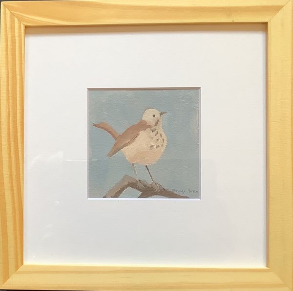 Hermit Thrush