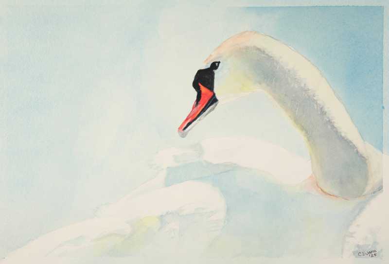 Elegance by Connie Evans