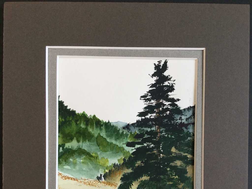 Lonely Pine