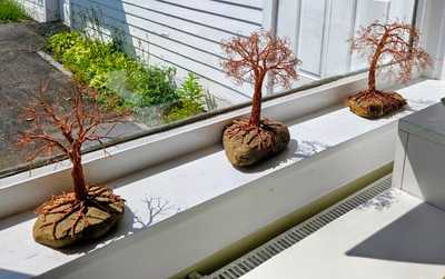 Copper Trees