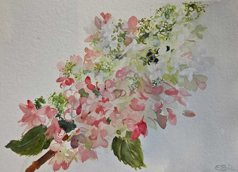 Where's the Bee? by Stephanie Reininger