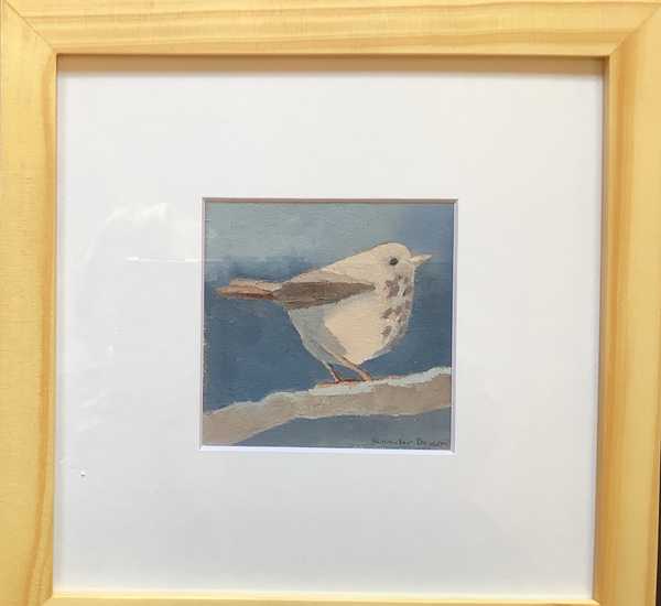 Hermit Thrush as a Symbol