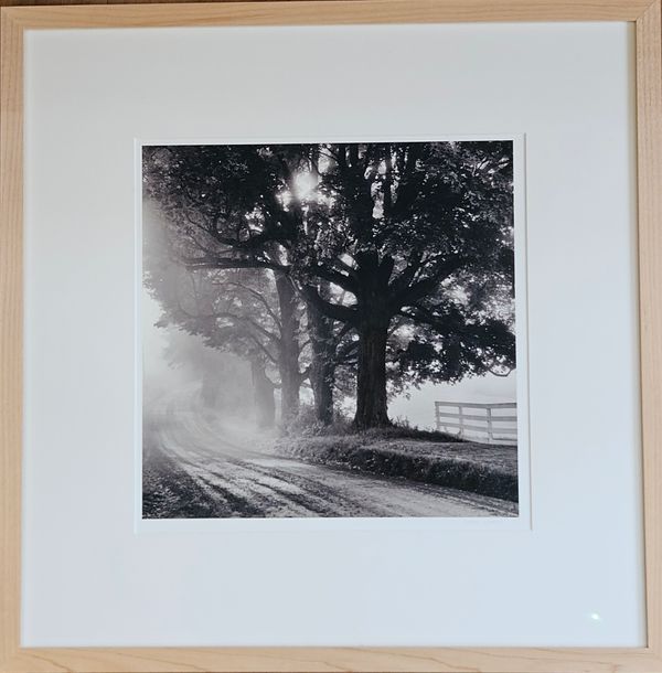 Road Curve, Maples in Fog - John Lehet