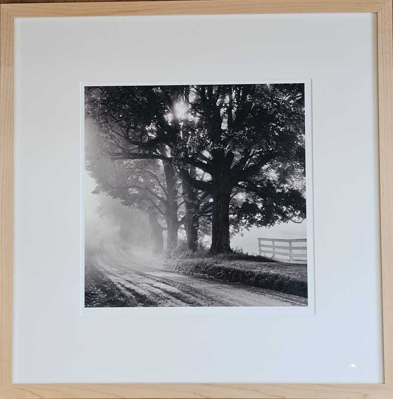 Road Curve, Maples in Fog - John Lehet