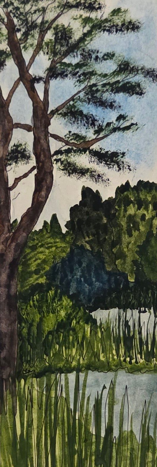Sugar Top Pond