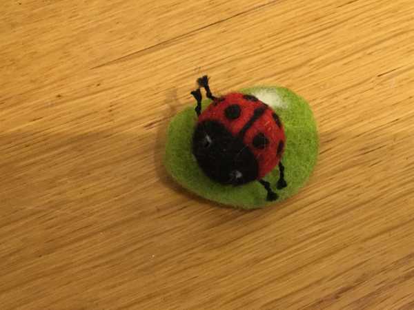 Figure, Ladybug