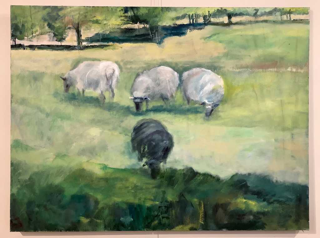 Grazing Sheep in Newbury, VT