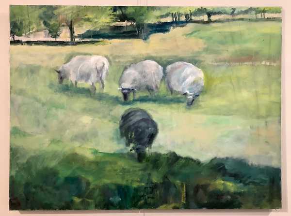 Grazing Sheep in Newbury, VT