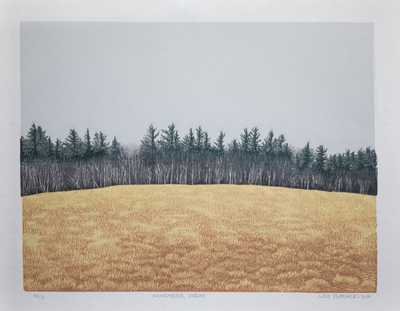 November Gray - Lily Featherston