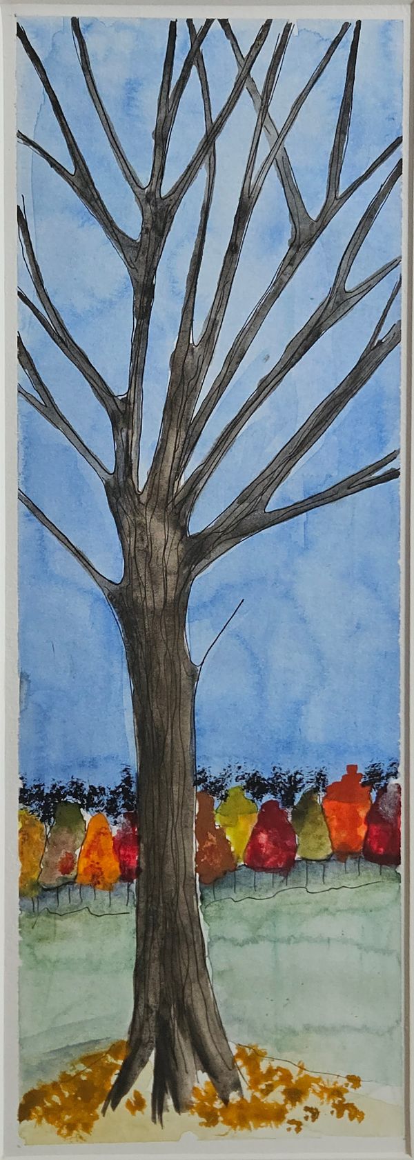 Big Maple - Lynn Adams
