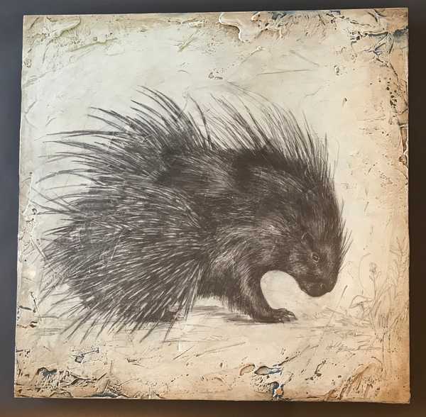 Porcupine