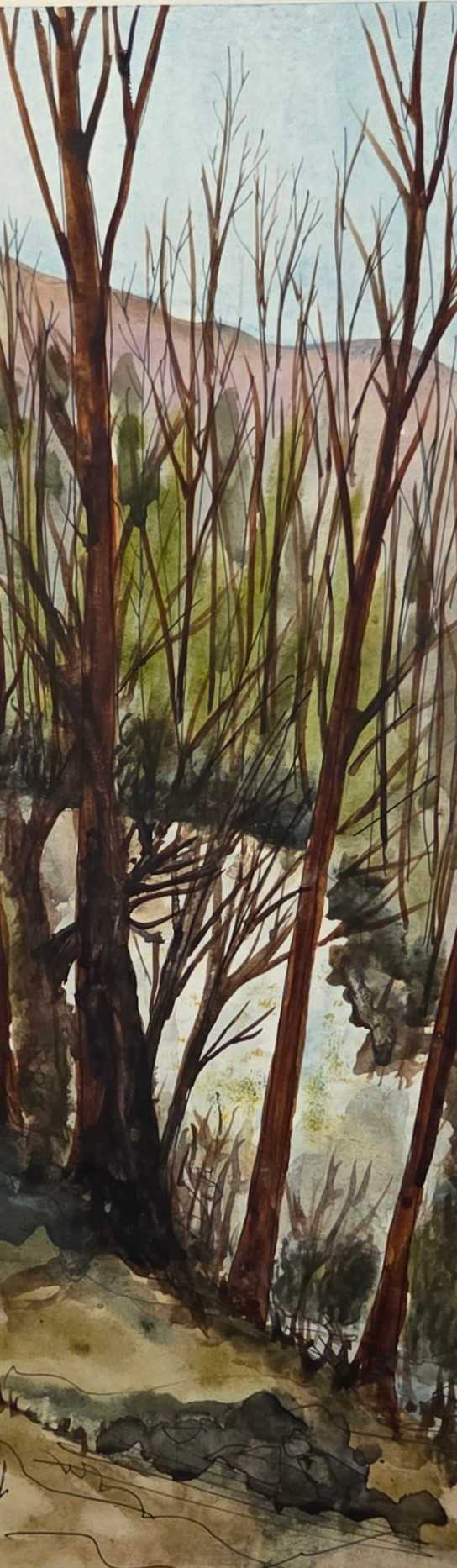 Maples in March