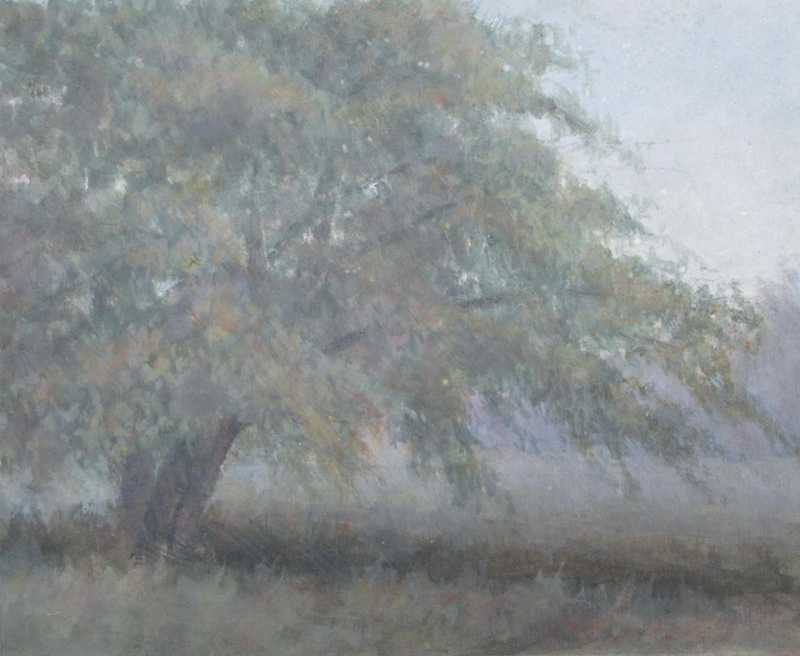 	Apple Tree - Jane Ashley